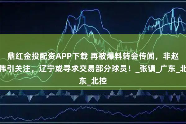 鼎红金投配资APP下载 再被爆料转会传闻，非赵继伟引关注，辽宁或寻求交易部分球员！_张镇_广东_北控
